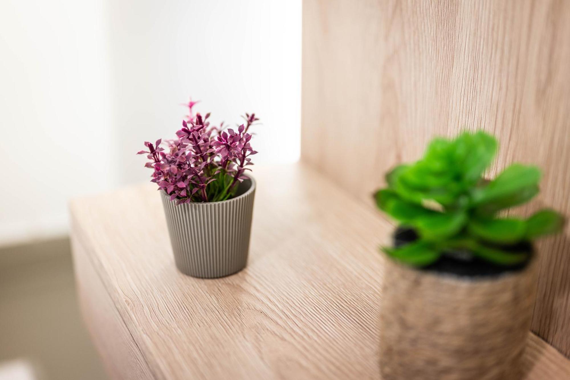 Studio Apartment Cudo Nevidjeno Karuc Zewnętrze zdjęcie